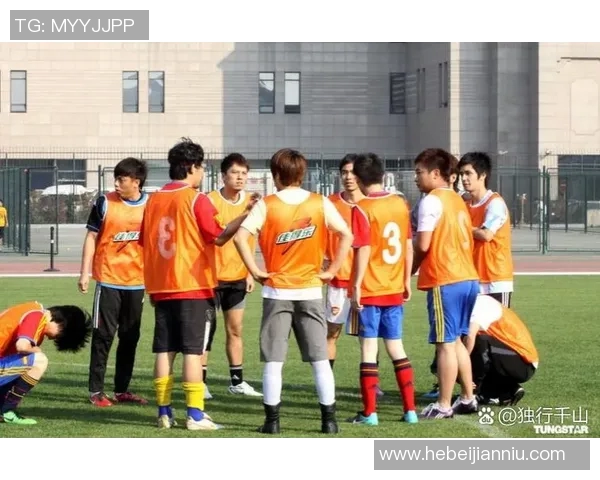 足球明星齐聚一堂的精彩电影揭示了他们背后的故事与激情